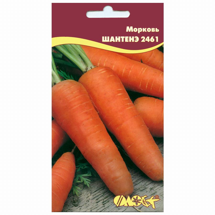 Морковь Шантанэ 2461 (сиб.серия) 2г 