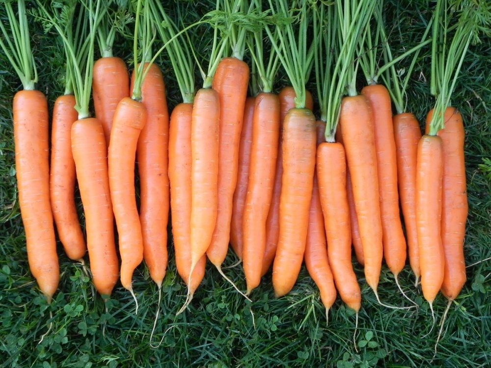 Морковь Витаминная 6 2г 